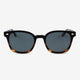 Black Tortoise