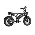 Windhorse V8MINI