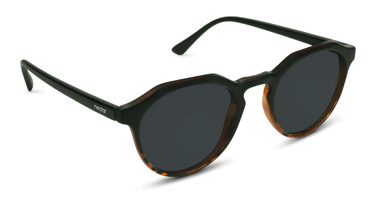 Wynwood Sunglasses